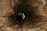 Gutschein Caving Waterworld lang